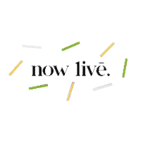 Cocktail Bartender GIF by The Blend World