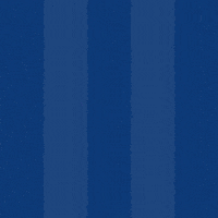 Soccer Goal GIF by Odense Boldklub