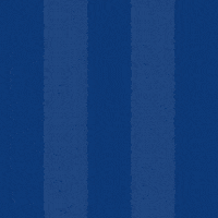 Football Soccer GIF by Odense Boldklub