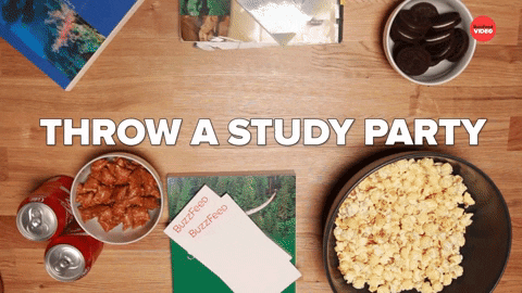 Finals Study Party GIF by BuzzFeed