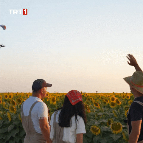 Go See You GIF by TRT