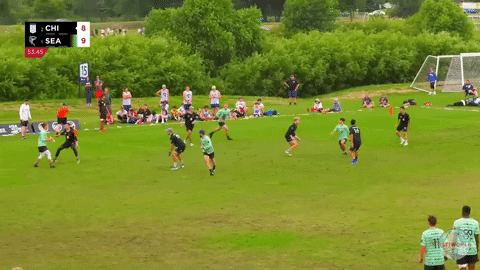 flikulti ultimate frisbee flik GIF