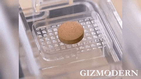 GizModern giphyupload GIF