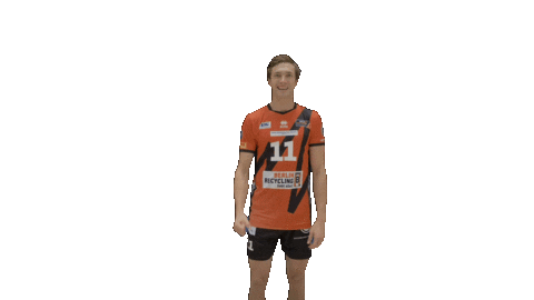 Volleyball Berlin Sticker by BR Volleys