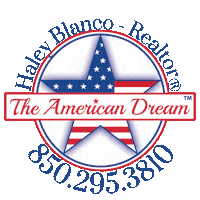 North Florida Realtor Sticker by The American Dream North Florida