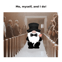 Wedding Bride GIF