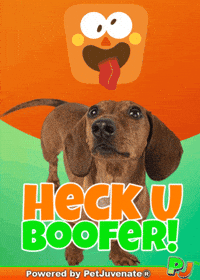 Henlo Hooman Fren GIF by PetJuvenate - PJ