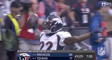 2019 Nfl Football GIF by NFL