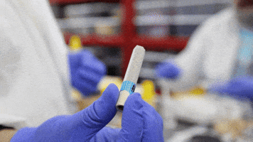 Chocolate Grow GIF by Exclusive Brands