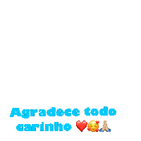 Agradece Todo Carinho Sticker by VETFACE