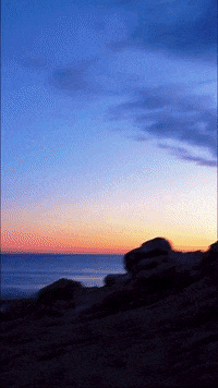 Music Video What GIF by NOSAM