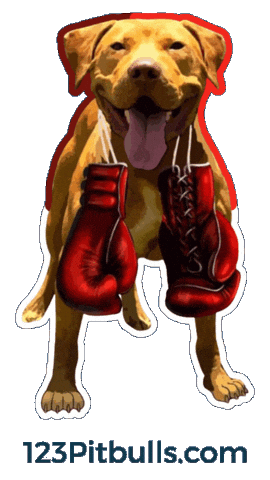 Pitbull Apbt Sticker by Chico Lopez