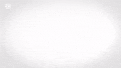 Red Bull Solet GIF by FC Red Bull Salzburg