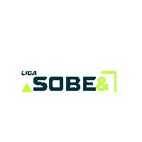 padelplus padel liga padel plus padelplus Sticker