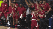 Celebrate College Basketball GIF by Arkansas Razorbacks