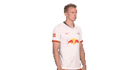 Posing Line Up Sticker by Bundesliga