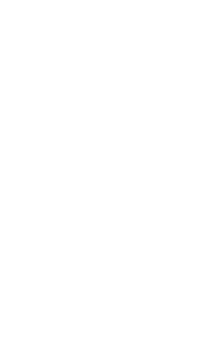 SSFLLP  Sticker