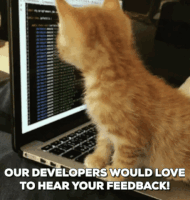 GIF by Quizizz 