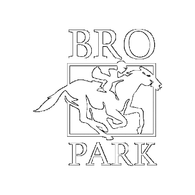Horses Jockey Sticker by Svensk Galopp
