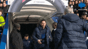 Premier League Chelsea GIF by MolaTV
