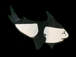 Jaimyvanoirschot GIF by Beam it Up