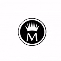 Misencil Eyelash Eyelashes Extension Extensions Cils Cil GIF by Misencil