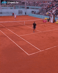 sport wtf GIF by Tennis TV