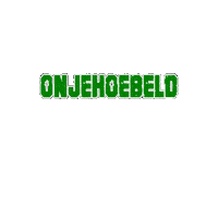 Sport Heerlen Sticker by Groene ster
