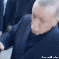 Reis Rte GIF