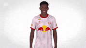 Happy Red Bull GIF by FC Red Bull Salzburg