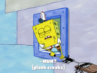 season 8 restraining spongebob GIF by SpongeBob SquarePants