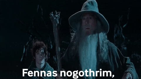 dhmontgomery giphygifmaker lord of the rings gandalf fellowship of the ring GIF