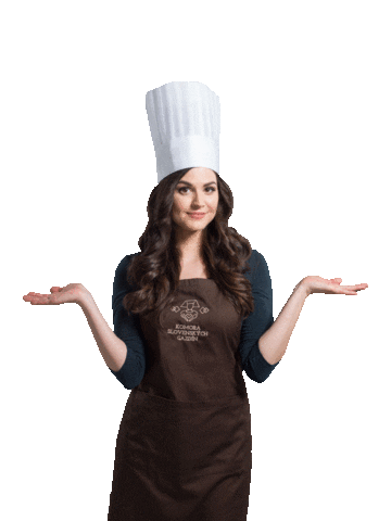 komoragazdin giphyupload cooking Sticker