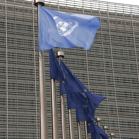 europeancommission flag europe eu flags GIF
