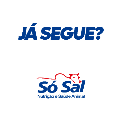 agrososal giphyupload só sal agro só sal Sticker