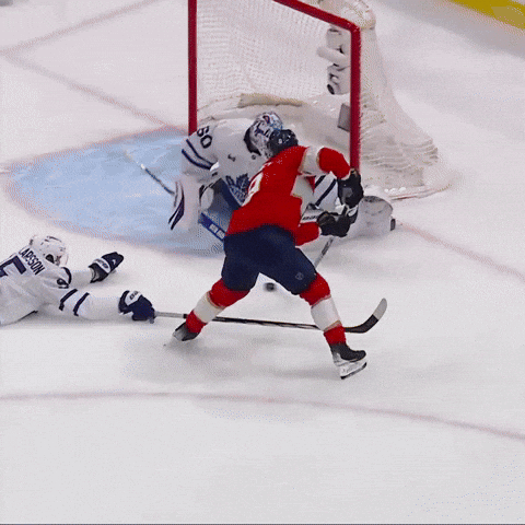 Celebrate Hands Up GIF by Florida Panthers