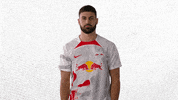Football Soccer GIF by RB Leipzig