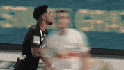 Football Win GIF by SK Sturm Graz