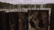 chesapeake shores family GIF by Hallmark Channel