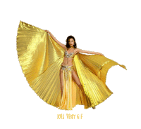 gold sticker by joelremygif