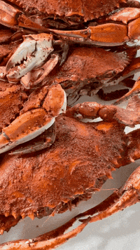 Food Seafood GIF by The Crab Place