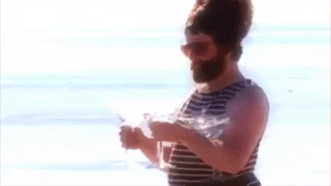 rosaboon giphyupload beach zach galifianakis GIF