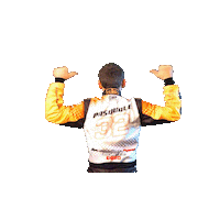 Action Driver Sticker by Cinisio Racing