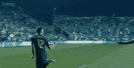 celebration GIF by Philadelphia Union