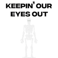 Halloween Skeleton Sticker by Fitz and the Tantrums