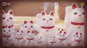 GIF by PBS Digital Studios