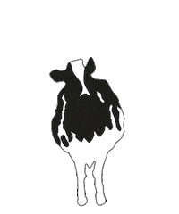 ben&jerrys logo Sticker by Ben & Jerry's Offiziell