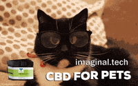 Cat GIF by Imaginal Biotech