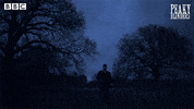 Television Reaction GIF by BBC