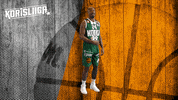 Basketball Hoops GIF by Basket_fi